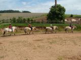 Jezdecká dílna II.