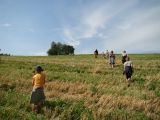 Etnografická dílna
