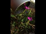Fotografická dílna