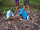 Geologická dílna: „Cesta za tajemstvím zkamenělin“