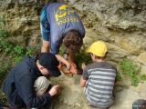 Geologická dílna: „Cesta za tajemstvím zkamenělin“