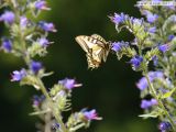 Fotografická dílna: „Prostor kolem nás jako téma k zachycení“