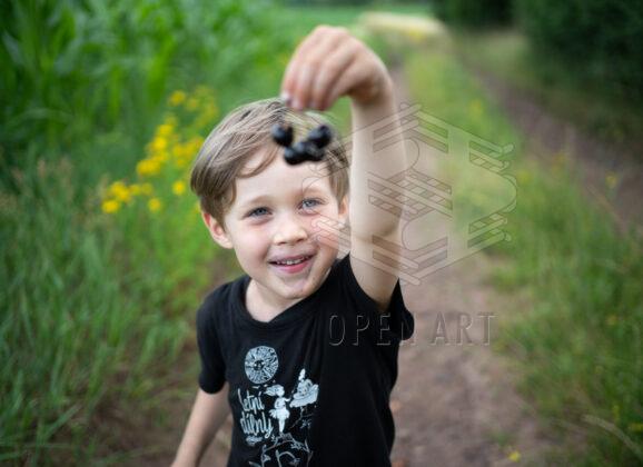 Letní dílny Roškopov 2026 – termíny